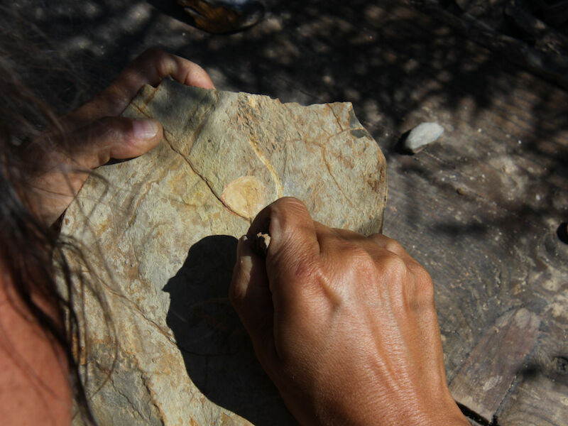 Bild img_4587.800x600.jpg