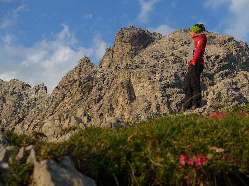 Bild dsc00375.800x600.jpg