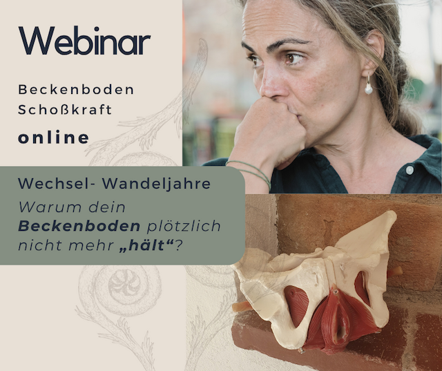 Webinar "Beckenboden & Kraft der Mitte in der Peri- & Menopause"
