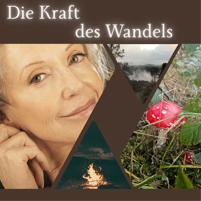 Webinar "Beckenboden & Kraft der Mitte in der Peri- & Menopause"